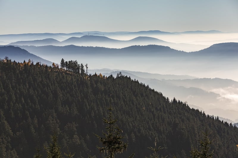 Black Forest, Germany